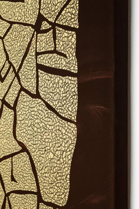 ‘Timezone’Collection